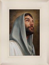 Load image into Gallery viewer, Looking Up