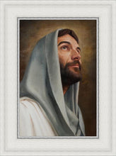 Load image into Gallery viewer, Looking Up