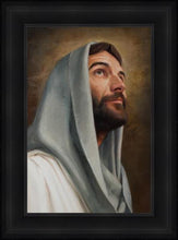 Load image into Gallery viewer, Looking Up