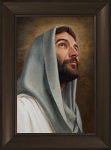 Load image into Gallery viewer, Looking Up