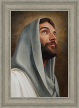 Load image into Gallery viewer, Looking Up