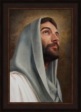 Load image into Gallery viewer, Looking Up
