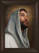 Load image into Gallery viewer, Looking Up