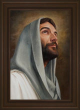 Load image into Gallery viewer, Looking Up