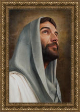 Load image into Gallery viewer, Looking Up
