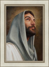 Load image into Gallery viewer, Looking Up