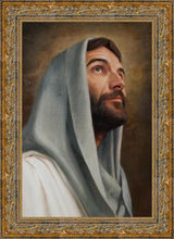 Load image into Gallery viewer, Looking Up
