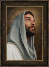 Load image into Gallery viewer, Looking Up
