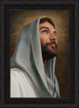 Load image into Gallery viewer, Looking Up