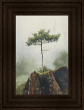 Load image into Gallery viewer, Room to Grow