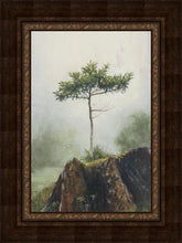 Load image into Gallery viewer, Room to Grow