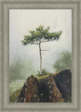 Load image into Gallery viewer, Room to Grow
