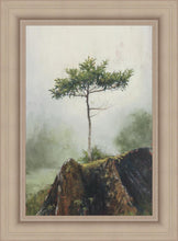 Load image into Gallery viewer, Room to Grow