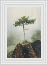 Load image into Gallery viewer, Room to Grow