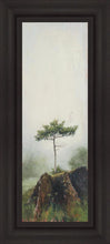 Load image into Gallery viewer, Room to Grow