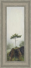 Load image into Gallery viewer, Room to Grow