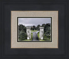 Load image into Gallery viewer, Two Rooks