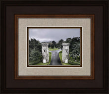 Load image into Gallery viewer, Two Rooks