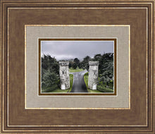 Load image into Gallery viewer, Two Rooks