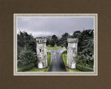 Load image into Gallery viewer, Two Rooks