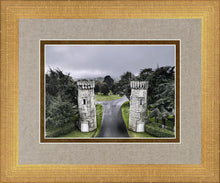Load image into Gallery viewer, Two Rooks