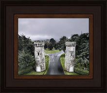 Load image into Gallery viewer, Two Rooks