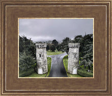 Load image into Gallery viewer, Two Rooks
