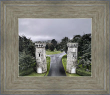 Load image into Gallery viewer, Two Rooks