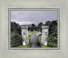 Load image into Gallery viewer, Two Rooks
