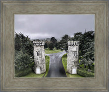 Load image into Gallery viewer, Two Rooks
