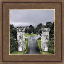 Load image into Gallery viewer, Two Rooks