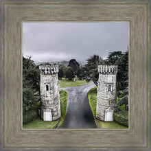 Load image into Gallery viewer, Two Rooks