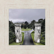 Load image into Gallery viewer, Two Rooks