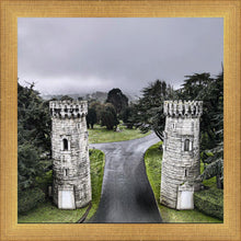 Load image into Gallery viewer, Two Rooks