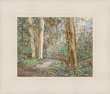Load image into Gallery viewer, Sacred Grove