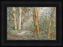 Load image into Gallery viewer, Sacred Grove