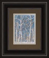 Load image into Gallery viewer, Woodland