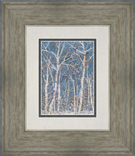 Load image into Gallery viewer, Woodland