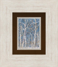 Load image into Gallery viewer, Woodland