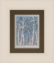 Load image into Gallery viewer, Woodland