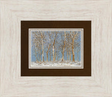 Load image into Gallery viewer, Winter Woods