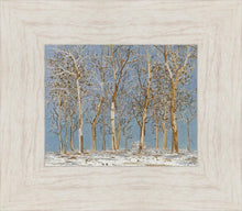 Load image into Gallery viewer, Winter Woods