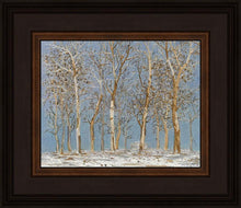Load image into Gallery viewer, Winter Woods
