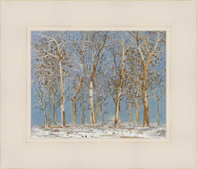 Load image into Gallery viewer, Winter Woods