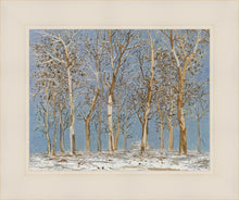 Load image into Gallery viewer, Winter Woods