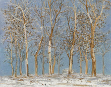 Load image into Gallery viewer, Winter Woods