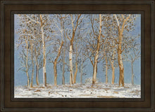 Load image into Gallery viewer, Winter Woods