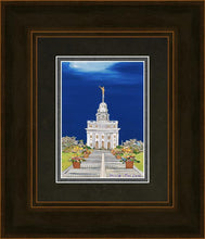 Load image into Gallery viewer, Nauvoo