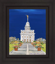 Load image into Gallery viewer, Nauvoo