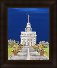 Load image into Gallery viewer, Nauvoo
